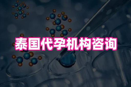 南昌助孕网 3